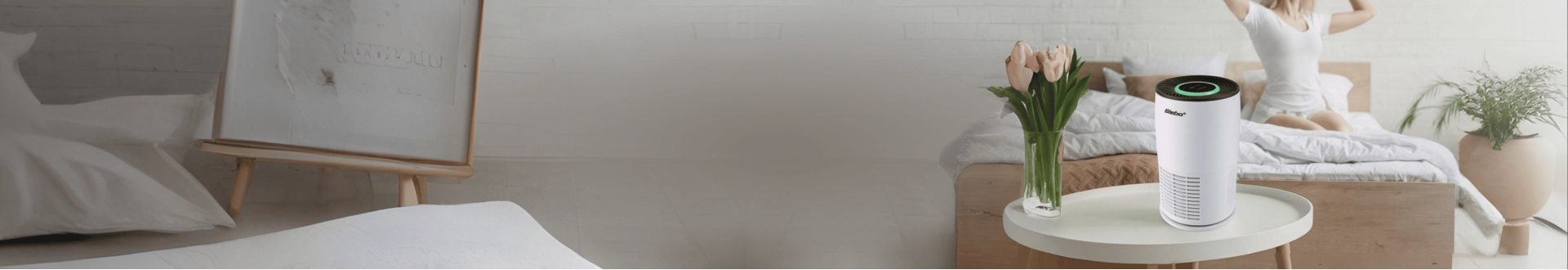 Очистители воздуха Steba