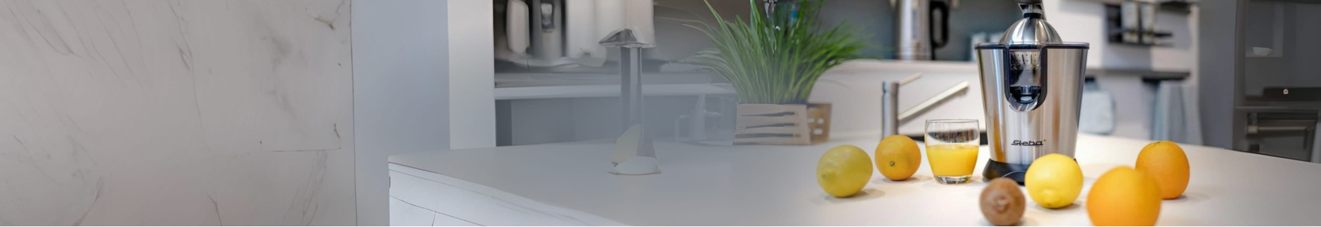 Соковыжималки для цитрусовых Steba