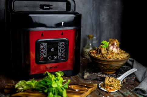 Мультиварка-скороварка Steba DD2 Basic красный